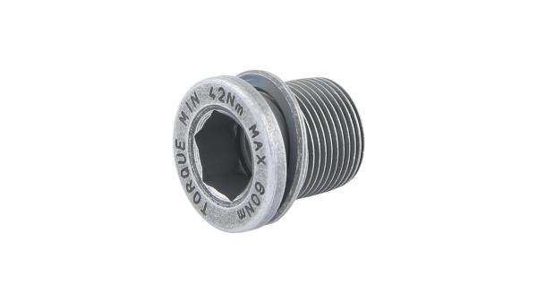 Campagnolo Kurbelschraube  XL grau