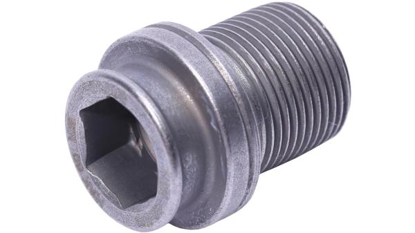 Campagnolo Kurbelschraube  XL grau