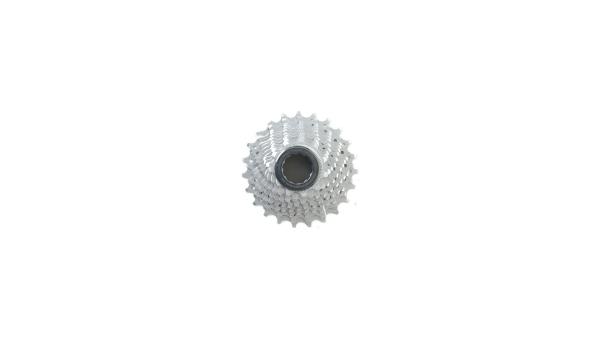 Campagnolo Chorus 11  Unisize grau, silber
