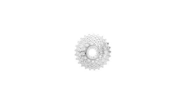 Campagnolo Veloce  Unisize silber