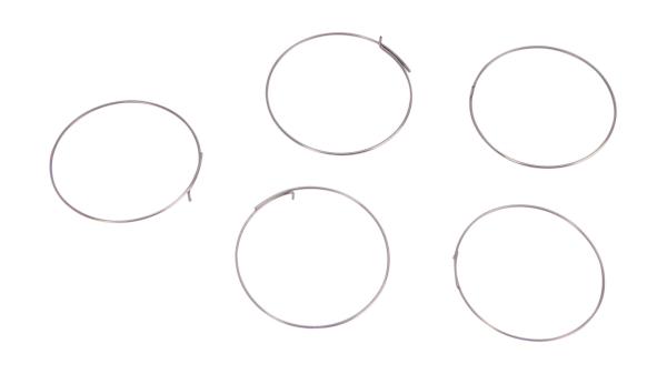 Fulcrum Sperrklinkenfeder  XL silber