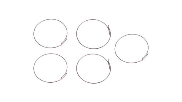 Fulcrum Sperrklinkenfeder  XL silber