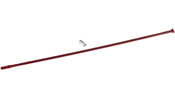 Fulcrum Speiche  XL rot