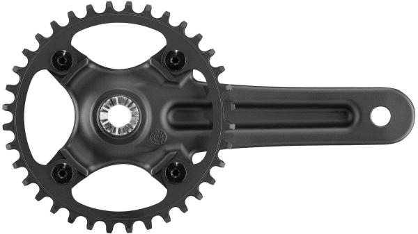 Campagnolo Ekar GT 13s  XL schwarz