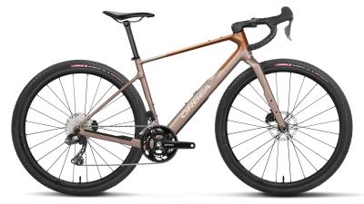 Orbea TERRA M20iTEAM S Nickel (Matt) - Metallic Cinamon (Matt) Produktbild 1