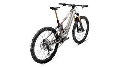 Orbea WILD TR M10 S Desert Rose (Matt) - Burning Ashes C. View (Gloss) Produktbild 5