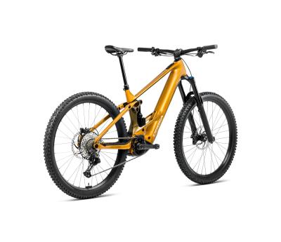 Orbea WILD H10 L Bumblebee Yellow-Metallic Olive Green (Gloss) Produktbild 2