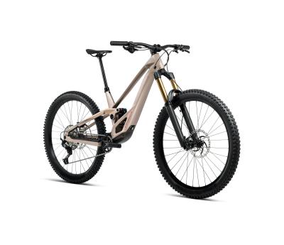 Orbea RALLON E10 M Nickel (Matt) - Nickel Chrome (Gloss) Produktbild 4