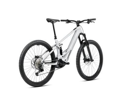Orbea WILD ST H30 S Halo Silver Gloss Produktbild 5