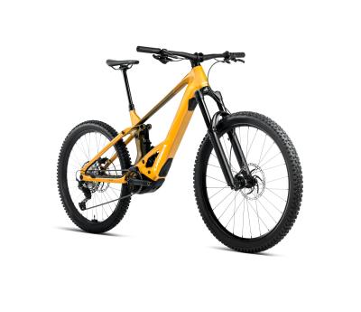 Orbea WILD/M H20 XL Bumblebee Yellow-Metallic Olive Green (Gloss) Produktbild 1