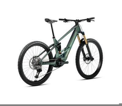 Orbea WILD/M M-LTD M Seaweed Carbon View Matt Produktbild 2