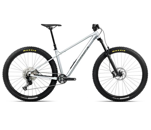 Orbea LAUFEY H10 M Smooth Silver (Matt) - Titanium (Gloss)