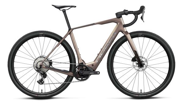 Orbea DENNA M20 L Nickel (Matt) - Carbon Raw (Gloss)