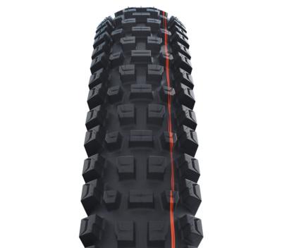Schwalbe ALBERT RADIAL Trail Pro Soft 63-584 Schwarz Produktbild 1