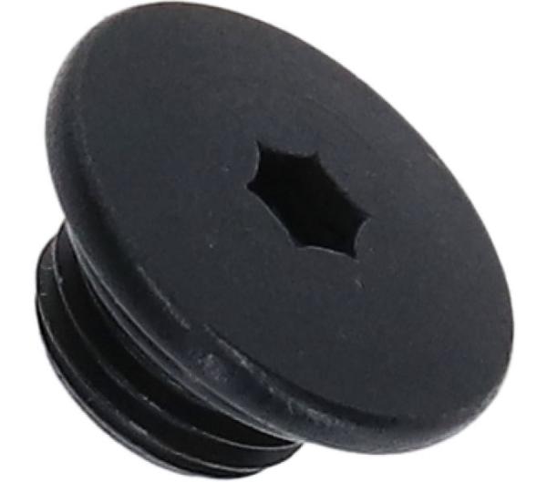 SHIMANO ENTL&Uuml;FTERSCHRAUBE F. ST-R7020