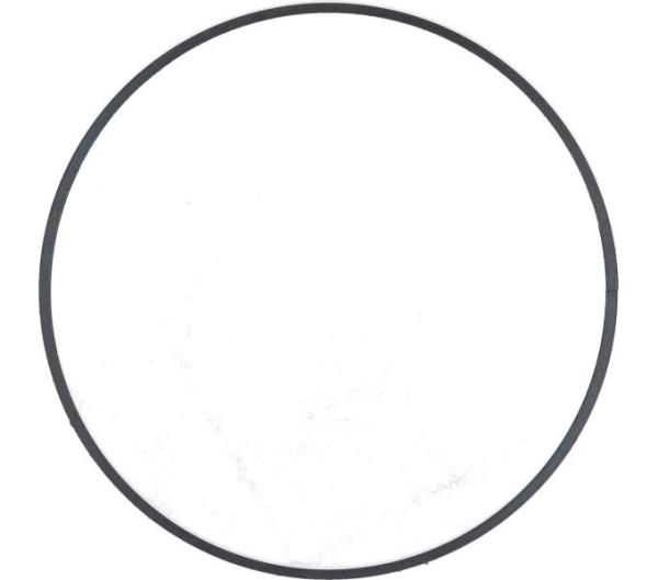 SHIMANO Stopring SG-8R20