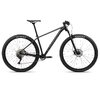 Orbea ONNA 29 20 L Black (Gloss) - Silver (Matte)