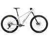 Orbea LAUFEY H10 S Smooth Silver (Matt) - Titanium (Gloss)