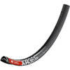 DT Swiss XM 421 29" - 28 Loch