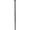 DT Swiss SPEICHE DT COMP RACE STRAIGHTPULL 2.0/1,6/2,0 238 VE100 SCHW - 238 mm
