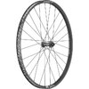 DT Swiss LAUFRAD VR DT E 1900 SPLINE 29 30MM CL 15/110MM BOOST - 622x30 mm