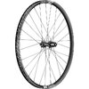 DT Swiss LAUFRAD HR DT EX 1700 SPLINE 29 30MM IS 12/148MM SHIMANO - 622 x 30 mm