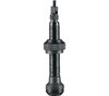 Schwalbe Schwalbe Tubeless-Ventil  Ein Paar 40 mm