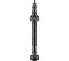 Schwalbe Schwalbe Tubeless-Ventil Ein Paar 60 mm